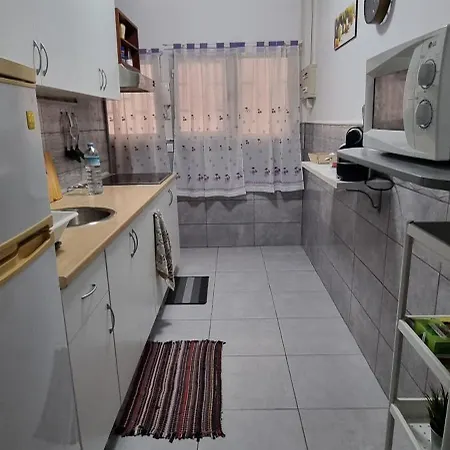 Vivienda Acerina 公寓